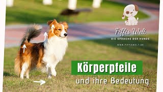 Körpersprache Hund  Körperpfeile und ihre Bedeutung [upl. by Travus]