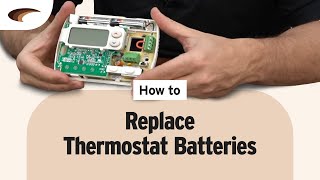 How to Replace Thermostat Batteries [upl. by Paluas419]