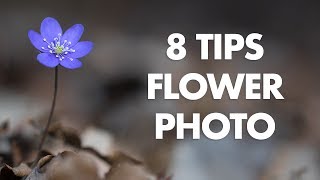 My 8 Best Tips for Flower Photography [upl. by Roselba]