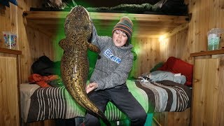 Catching MASSIVE Burbot FISHING FROM BED [upl. by Yaffit]