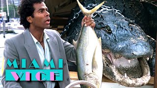 Tubbs Meets Croketts Pet Alligator Elvis  Miami Vice [upl. by Amadeus]