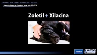 ANESTESIA DISOCIATIVA DE LARGA DURACIÓN EN PERROS CON ZOLETILVIRBAC [upl. by Inama]