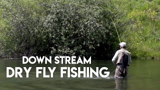 Dry Fly Fishing Down Stream  How To [upl. by Vivl]