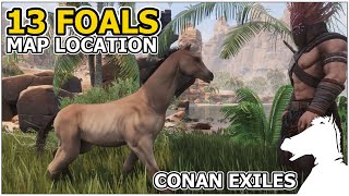 13 Foals Map Locations  CONAN EXILES [upl. by Yerkovich]