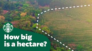 How big is a hectare [upl. by Leta]