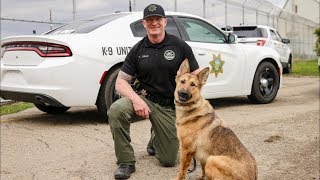 Inside CDCR K9 teams patrol state prisons [upl. by Tezzil]