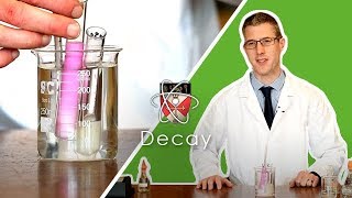 Decay  GCSE Biology Required Practical [upl. by Mortimer516]