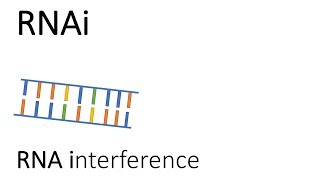 RNAi  RNA interference [upl. by Jake]