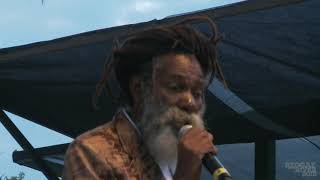 Don Carlos Live at Reggae on the River™ 2015 FULL SET [upl. by Natsrik209]