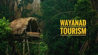 Wayanad tourism  Documentary  Tourist attractions and stories [upl. by Rubel]