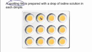 The starch amp amylase experiment [upl. by Lilias]