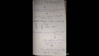 Types of Endosperm [upl. by Dadelos]