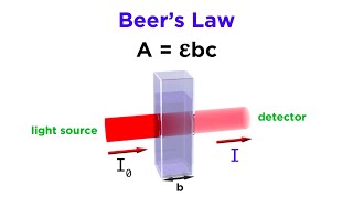 Spectrophotometry and Beers Law [upl. by Key]