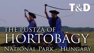 Hortobágy National Park  Hungary Travel Guide  Travel amp Discover [upl. by Ahseyi]